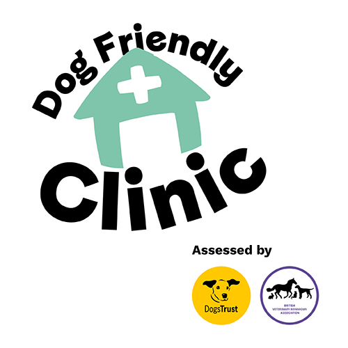 Dog Friendly Clinic