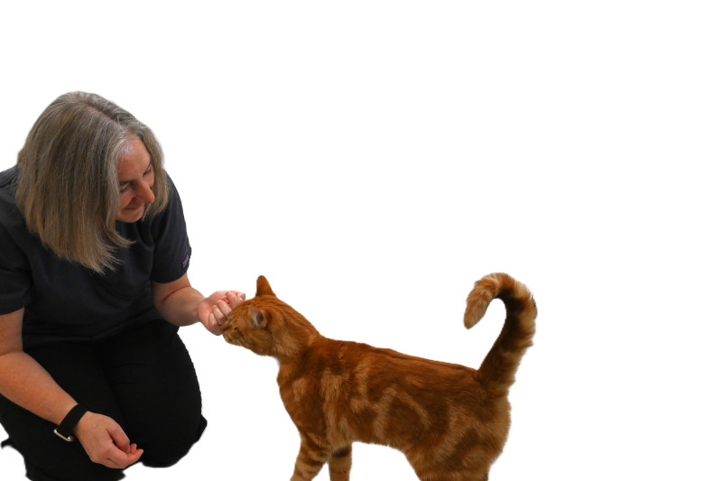 Rosie with Cat