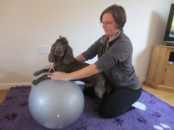Nadia - Animal Physiotherapy