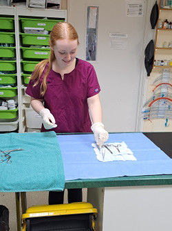 Another image of someone on work experience